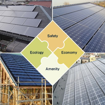 safety ecology economy amenity